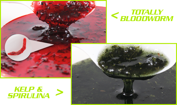 carp - 1233327726677574016423878327226n.png